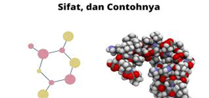 Senyawa Polimer Struktur & Contoh Kehidupan Kimia Kelas 12